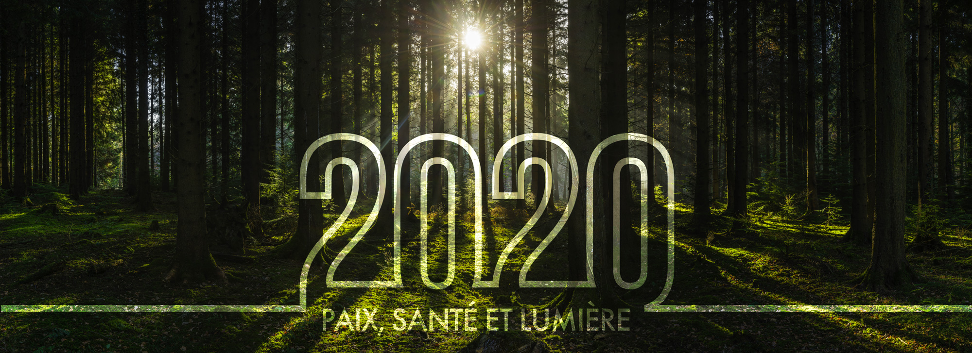 voeux2020